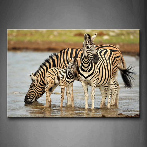 Mother Zebra And Cubs Stand In River  Wall Art Painting The Picture Print On Canvas Animal Pictures For Home Decor Decoration Gift 