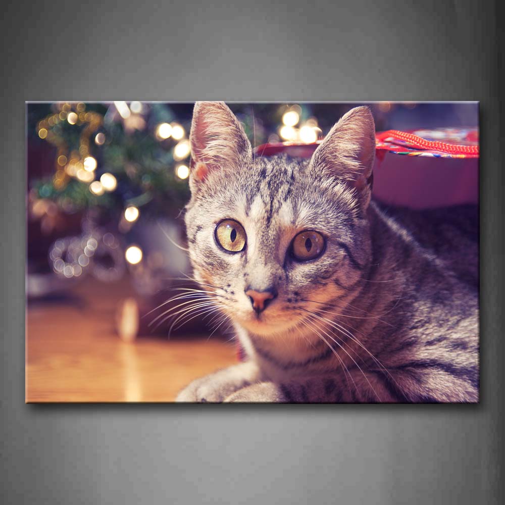 Gray Cat Lie On Land Festival Wall Art Painting Pictures Print On Canvas Animal The Picture For Home Modern Decoration 