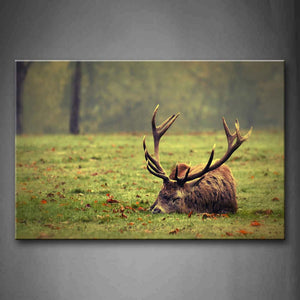 Deer Sleep On Lawn Tree Fallen Leafs Wall Art Painting Pictures Print On Canvas Animal The Picture For Home Modern Decoration 