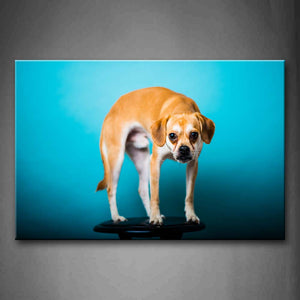 Yellow Dog Stand On Chair In Blue Background Wall Art Painting The Picture Print On Canvas Animal Pictures For Home Decor Decoration Gift 