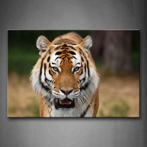 Tiger Is Walking Portrait  Wall Art Painting Pictures Print On Canvas Animal The Picture For Home Modern Decoration 