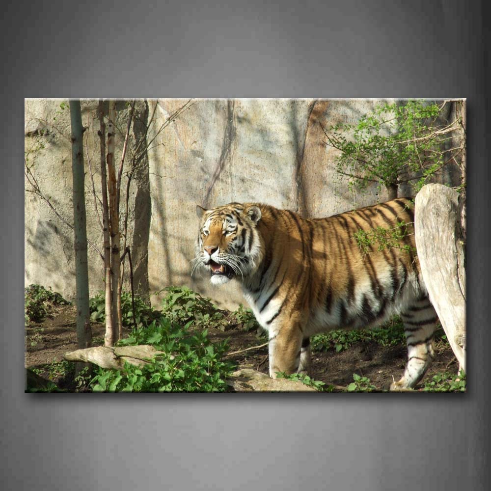 Tiger Stand On Mud Land Grass Tree Wall Wall Art Painting Pictures Print On Canvas Animal The Picture For Home Modern Decoration 