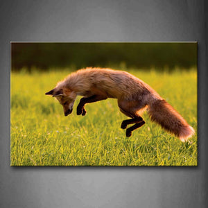 Yellow Fox Jump Over Grassland Wall Art Painting The Picture Print On Canvas Animal Pictures For Home Decor Decoration Gift 