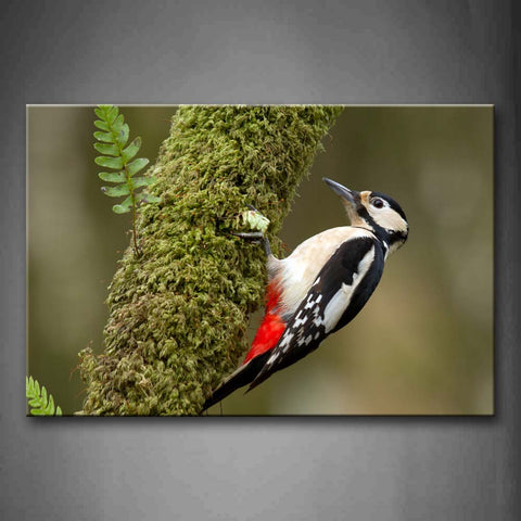 Bird Crawl On Trunk To Find Food Moss Wall Art Painting The Picture Print On Canvas Animal Pictures For Home Decor Decoration Gift 