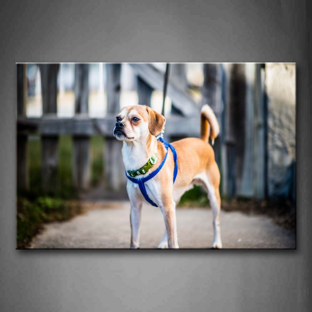 Dog Stand On Path Wood Fence Wall Art Painting The Picture Print On Canvas Animal Pictures For Home Decor Decoration Gift 