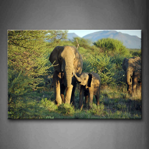 Elephants Walk On Grass Near Trees Mountain Wall Art Painting Pictures Print On Canvas Animal The Picture For Home Modern Decoration 