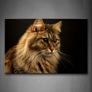 Cat Is Staring Front Black Background Wall Art Painting Pictures Print On Canvas Animal The Picture For Home Modern Decoration 