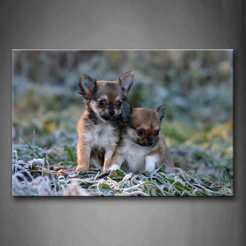 Two Cub Dogs Stand Closely On Grass Winter Wall Art Painting Pictures Print On Canvas Animal The Picture For Home Modern Decoration 