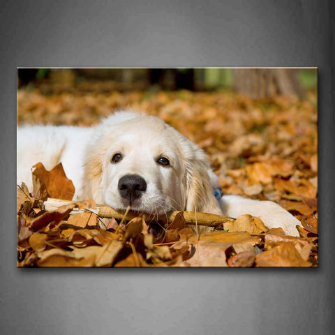 White Dog Lie On Fallen Leafs Wall Art Painting The Picture Print On Canvas Animal Pictures For Home Decor Decoration Gift 