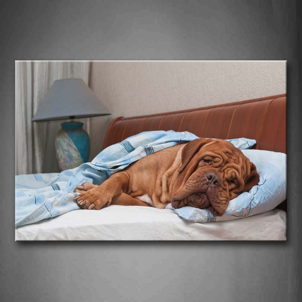 Yellow Dog Sleep On Bed  Wall Art Painting Pictures Print On Canvas Animal The Picture For Home Modern Decoration 