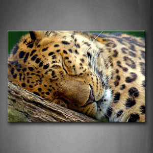 Leopard Bend Over On Wood Wall Art Painting The Picture Print On Canvas Animal Pictures For Home Decor Decoration Gift 