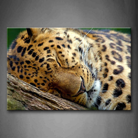 Leopard Bend Over On Wood Wall Art Painting The Picture Print On Canvas Animal Pictures For Home Decor Decoration Gift 