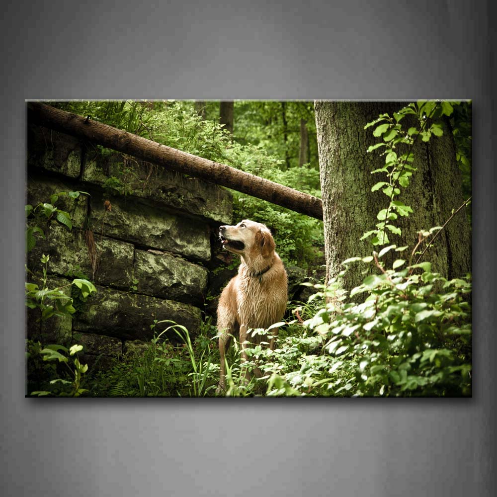 Yellow Dog Stand In Forest Grass Stonewalling Wall Art Painting Pictures Print On Canvas Animal The Picture For Home Modern Decoration 