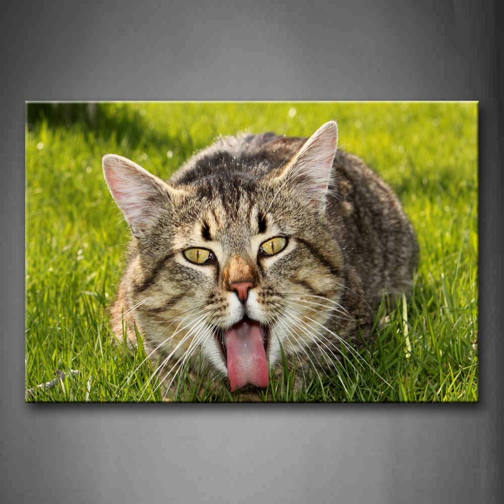 Cat Expose Tongue In Grass Wall Art Painting Pictures Print On Canvas Animal The Picture For Home Modern Decoration 