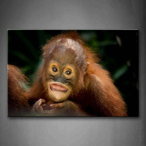 Orangutan Portrait Wall Art Painting The Picture Print On Canvas Animal Pictures For Home Decor Decoration Gift 