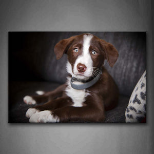 Brown And White Dog Sit On Sofa Wall Art Painting Pictures Print On Canvas Animal The Picture For Home Modern Decoration 