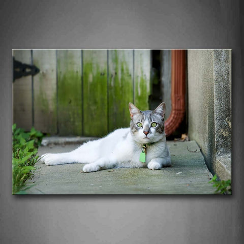 Cat Lie On Slate Grass  Wall Art Painting The Picture Print On Canvas Animal Pictures For Home Decor Decoration Gift 