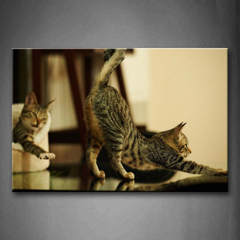 A Cat Stretch Body And The Other Is In Nest Wall Art Painting Pictures Print On Canvas Animal The Picture For Home Modern Decoration 