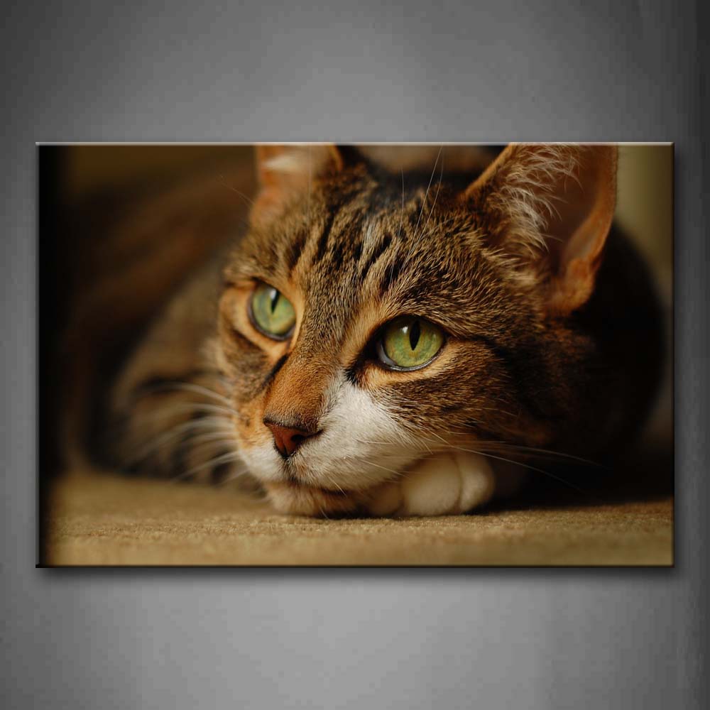 Cat Bend Over On Land Portrait Wall Art Painting Pictures Print On Canvas Animal The Picture For Home Modern Decoration 