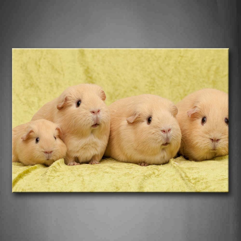 Guinea Pigs Stand On Blanket Wall Art Painting The Picture Print On Canvas Animal Pictures For Home Decor Decoration Gift 