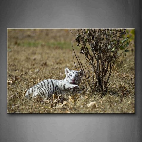 White Tiger Lie By The Tree Wall Art Painting The Picture Print On Canvas Animal Pictures For Home Decor Decoration Gift 