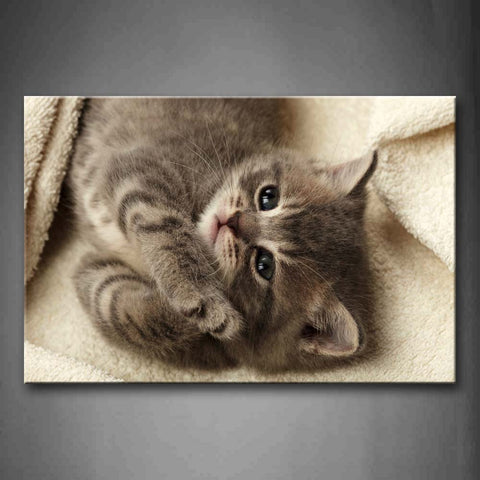 Gray Cat Lie On The Blanket Wall Art Painting Pictures Print On Canvas Animal The Picture For Home Modern Decoration 