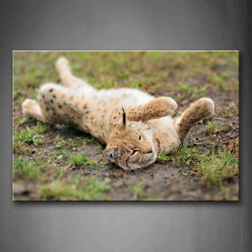 Lynx Lie On The Mud And Grass Wall Art Painting Pictures Print On Canvas Animal The Picture For Home Modern Decoration 