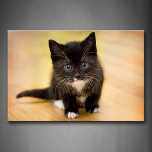 Black Cat Sit On The Floor Wall Art Painting Pictures Print On Canvas Animal The Picture For Home Modern Decoration 