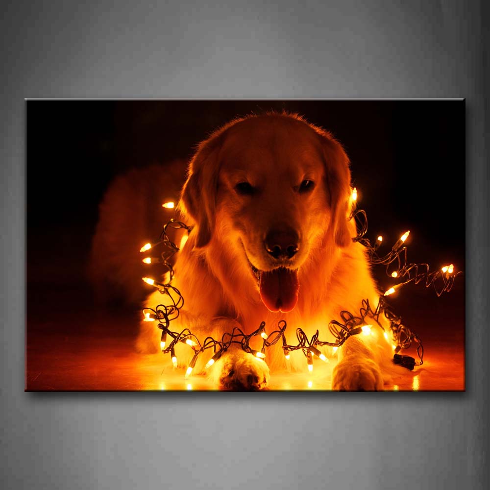 Yellow Orange Dog Twined By A Lamp Line  Wall Art Painting Pictures Print On Canvas Animal The Picture For Home Modern Decoration 