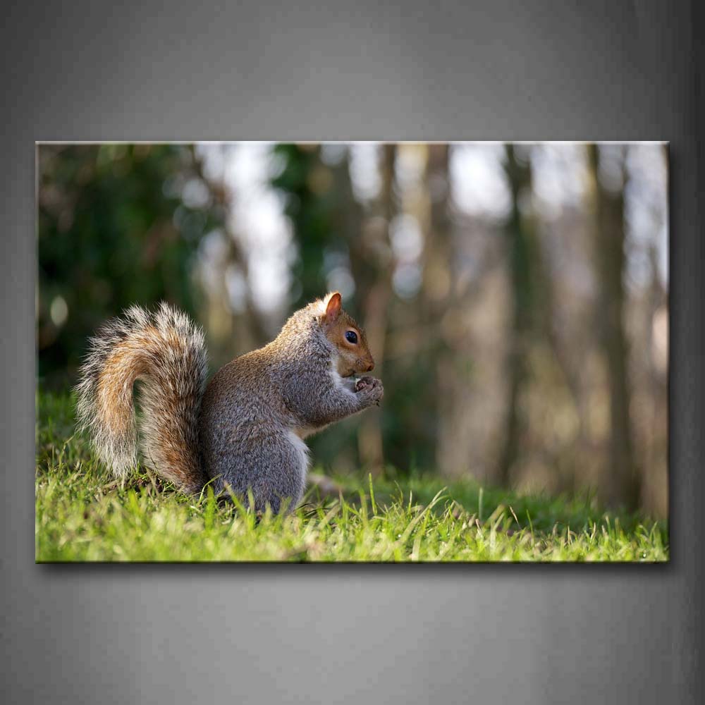 Squirrel Eat Pine Cone On The Lawn Wall Art Painting The Picture Print On Canvas Animal Pictures For Home Decor Decoration Gift 