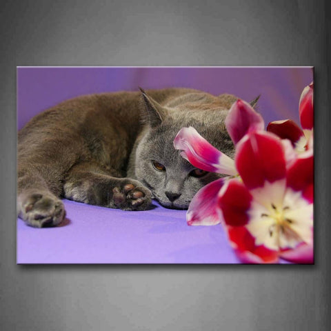 Gray Cat Lie On Purple Floor With Flower Wall Art Painting The Picture Print On Canvas Animal Pictures For Home Decor Decoration Gift 