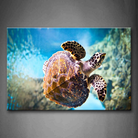 Turtle Swim Under The Sea Wall Art Painting Pictures Print On Canvas Animal The Picture For Home Modern Decoration 