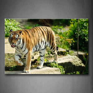 Tiger Walk On The Stone Road With Green Leaves Wall Art Painting The Picture Print On Canvas Animal Pictures For Home Decor Decoration Gift 