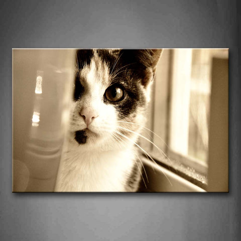 Cat Near Window Inside Room Wall Art Painting Pictures Print On Canvas Animal The Picture For Home Modern Decoration 