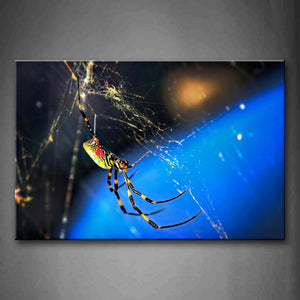 Spider Is Spinning Web Wall Art Painting The Picture Print On Canvas Animal Pictures For Home Decor Decoration Gift 