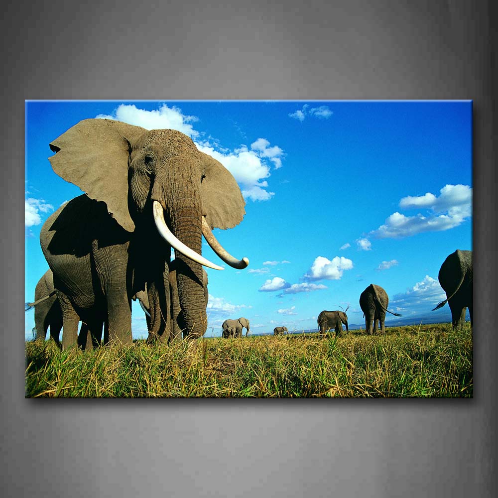 Elephants Walk On The Grass Under Blue Sky Wall Art Painting The Picture Print On Canvas Animal Pictures For Home Decor Decoration Gift 