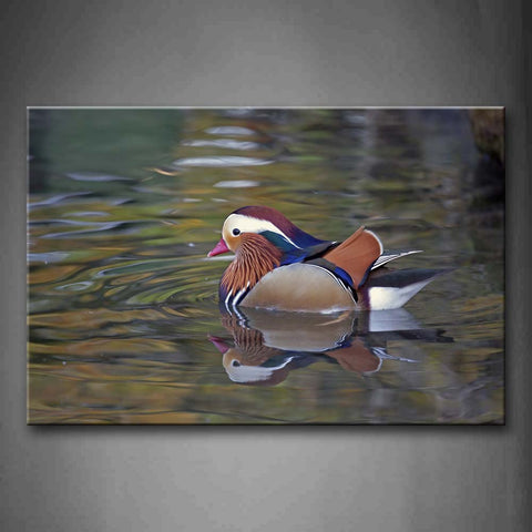 Colorful Duck With Red Beak In Water   Wall Art Painting The Picture Print On Canvas Animal Pictures For Home Decor Decoration Gift 