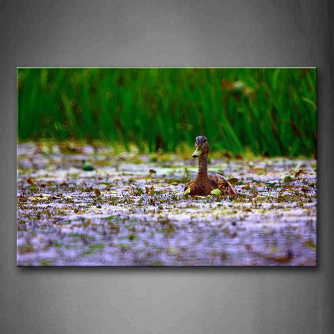 Yellow Duck In The Water With Green High Grass Wall Art Painting Pictures Print On Canvas Animal The Picture For Home Modern Decoration 