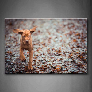 Brown Dog Walking On Floor Covered With Leaves Wall Art Painting The Picture Print On Canvas Animal Pictures For Home Decor Decoration Gift 