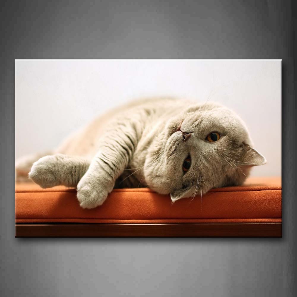 Gray Cat Lie On The Orange Bed Wall Art Painting Pictures Print On Canvas Animal The Picture For Home Modern Decoration 