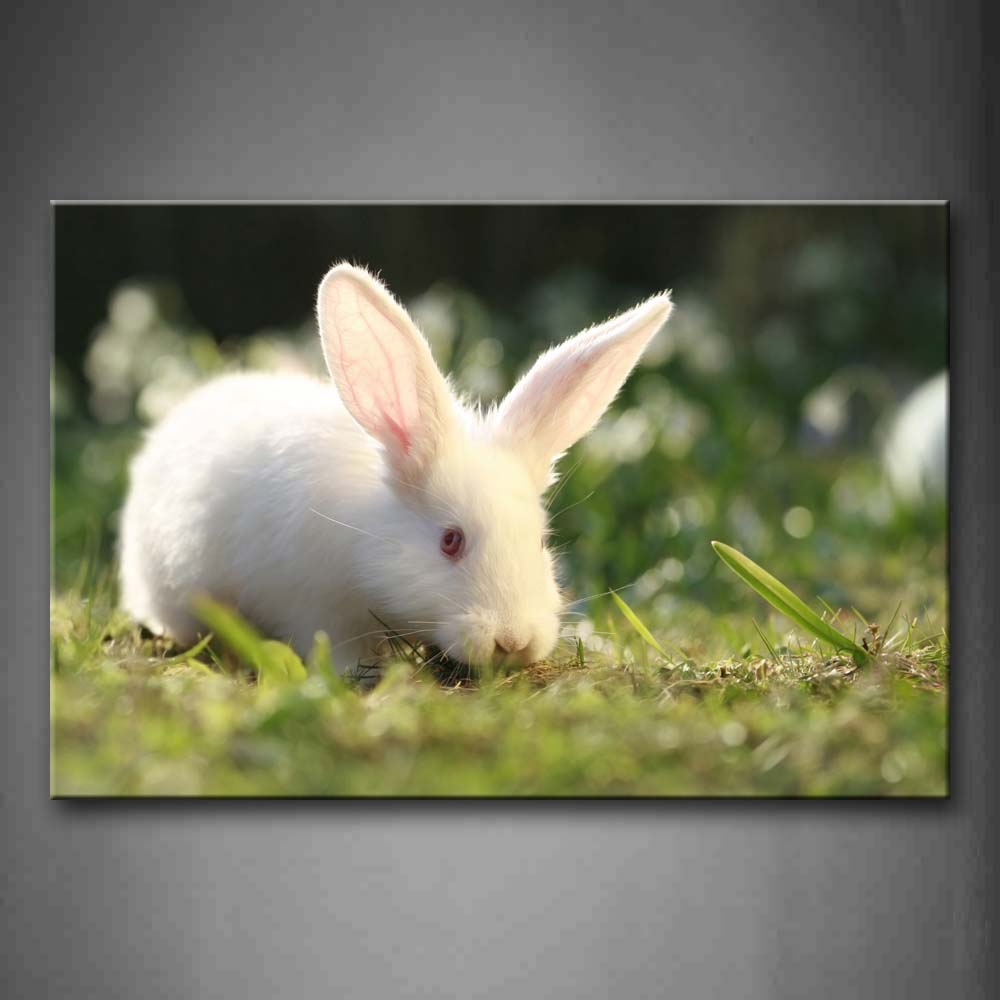 White Rabbit Eat Grass On The Lawn Wall Art Painting The Picture Print On Canvas Animal Pictures For Home Decor Decoration Gift 