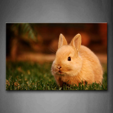 Brown Yellow Rabbit Stand On Lawn  Wall Art Painting Pictures Print On Canvas Animal The Picture For Home Modern Decoration 