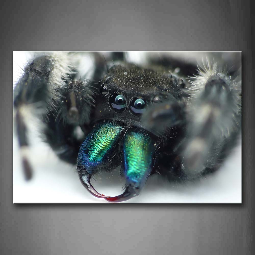 Black Spider With Green Teeth  Wall Art Painting The Picture Print On Canvas Animal Pictures For Home Decor Decoration Gift 