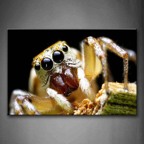 Yellow Spider With Black Eyes And Brown Teeth Wall Art Painting Pictures Print On Canvas Animal The Picture For Home Modern Decoration 