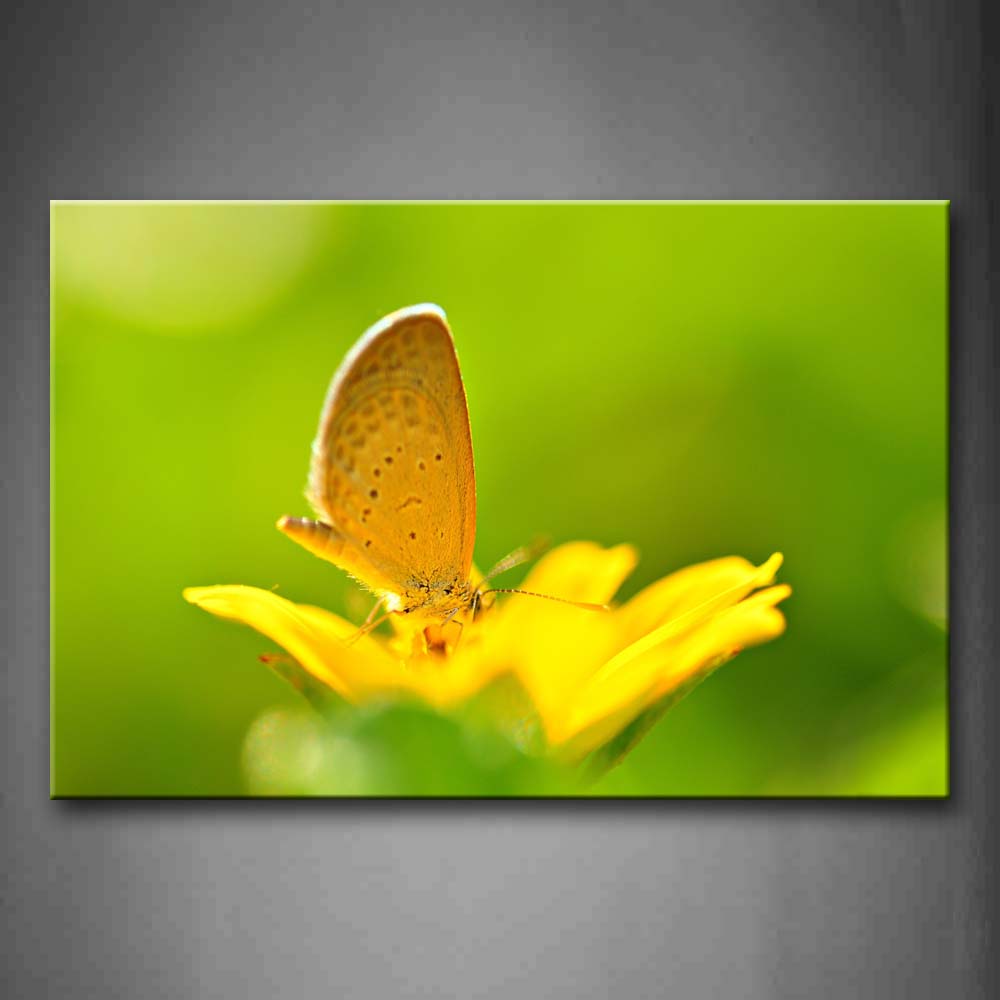 Yellow Butterfly Stand On A Yellow Flower Wall Art Painting The Picture Print On Canvas Animal Pictures For Home Decor Decoration Gift 