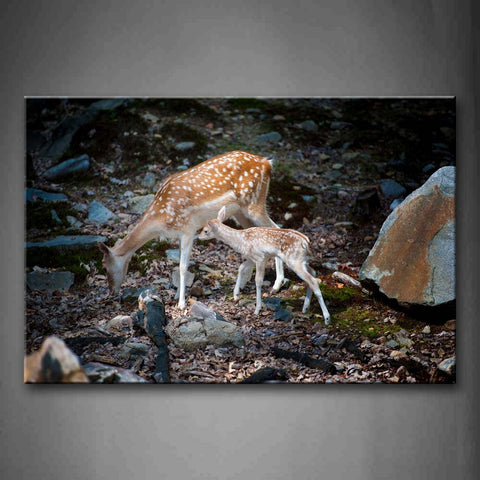 Mother Deer With Cub Walking On The Floor With Rocks Wall Art Painting Pictures Print On Canvas Animal The Picture For Home Modern Decoration 