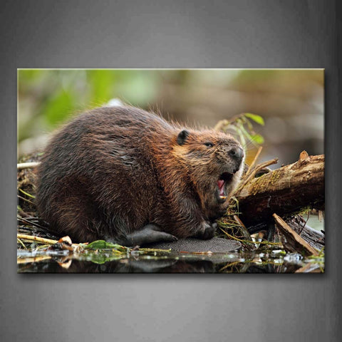 Brown Beaver Lie On Trunk With Mouth Open Wall Art Painting Pictures Print On Canvas Animal The Picture For Home Modern Decoration 