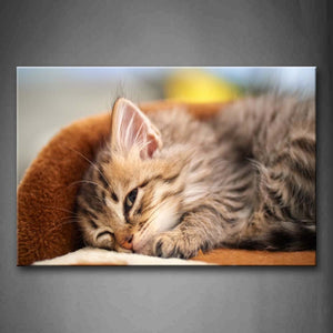 Gray Cat Lie On The Brown Sofa Wall Art Painting Pictures Print On Canvas Animal The Picture For Home Modern Decoration 