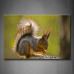 Squirrel Eat Food On Wood Wall Art Painting Pictures Print On Canvas Animal The Picture For Home Modern Decoration 