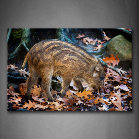 Boar Walk On Floor Covered By Leaves Under Tree Wall Art Painting The Picture Print On Canvas Animal Pictures For Home Decor Decoration Gift 